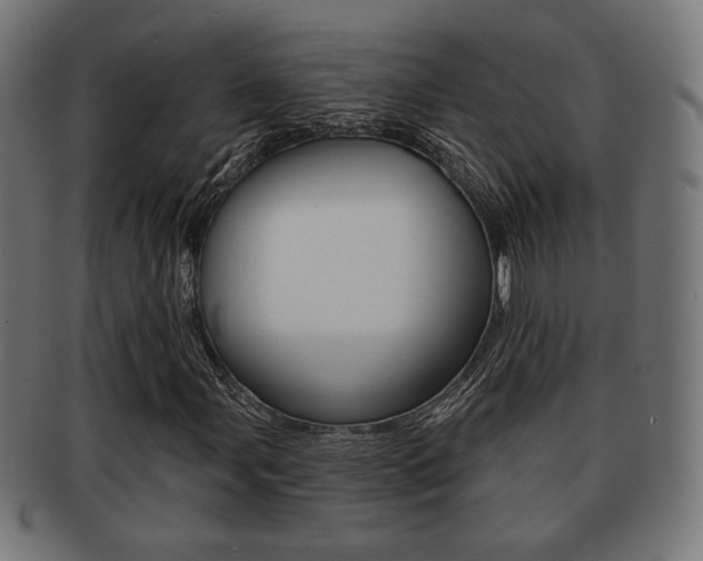 X0000091971107200709061126