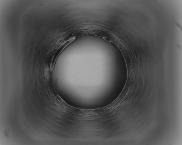 X0000091971108200709061126
