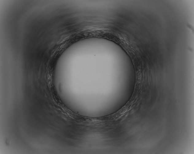 X0000091971109200709061126