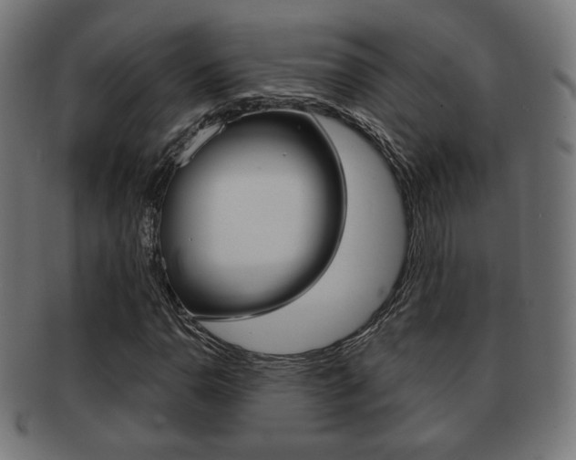 X0000091971110200709061126