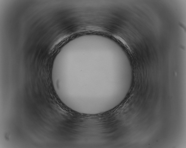 X0000091971112200709061126
