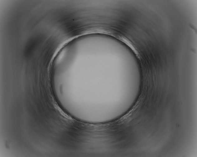 X0000091971116200709061126
