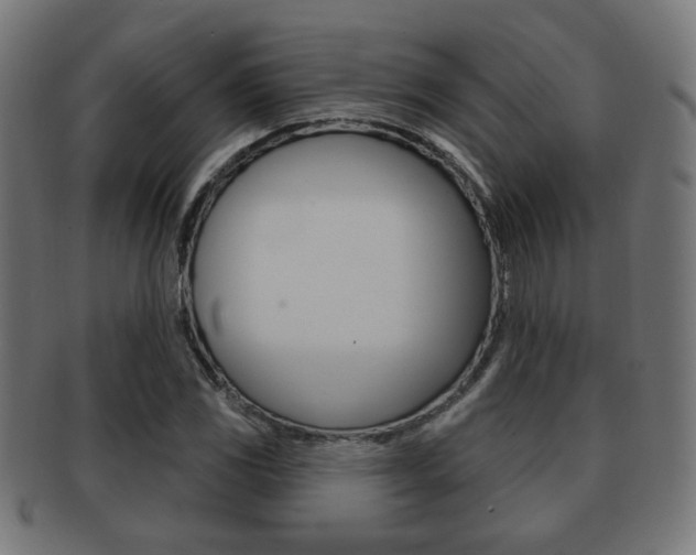 X0000091971117200709061126