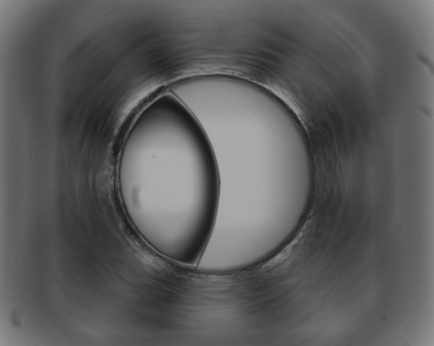X0000091971119200709061126
