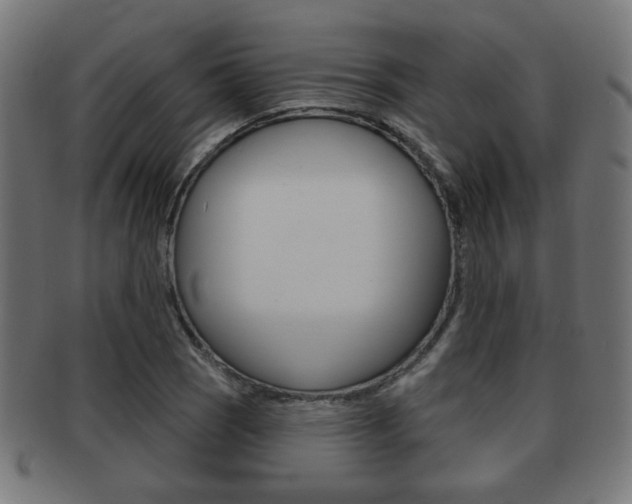 X0000091971121200709061126