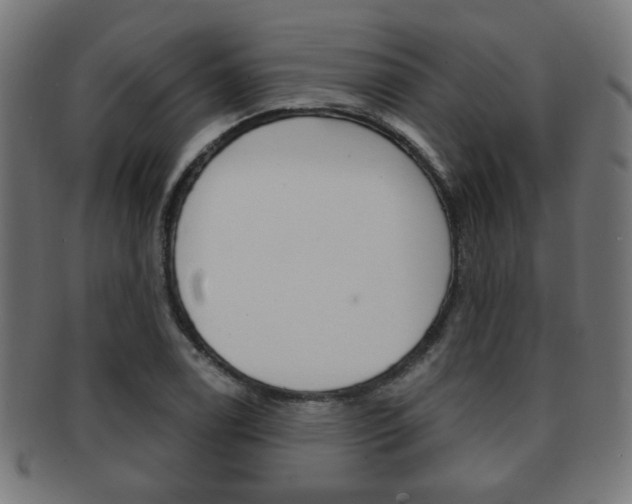 X0000091971122200709061126