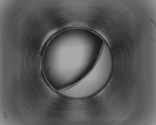 X0000091971123200709061126