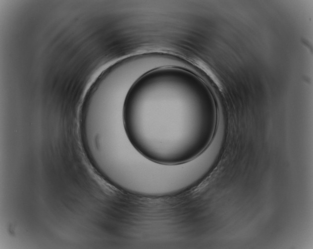 X0000091971124200709061126
