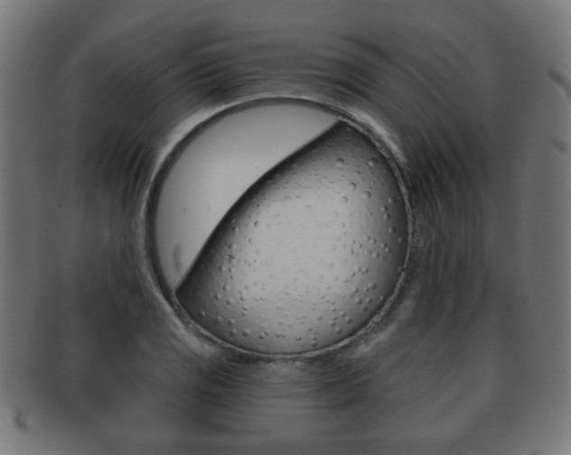 X0000091971125200709061126