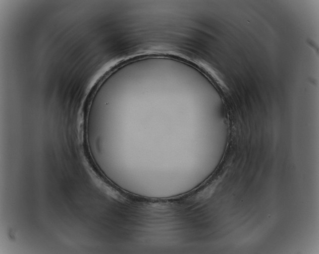 X0000091971126200709061126