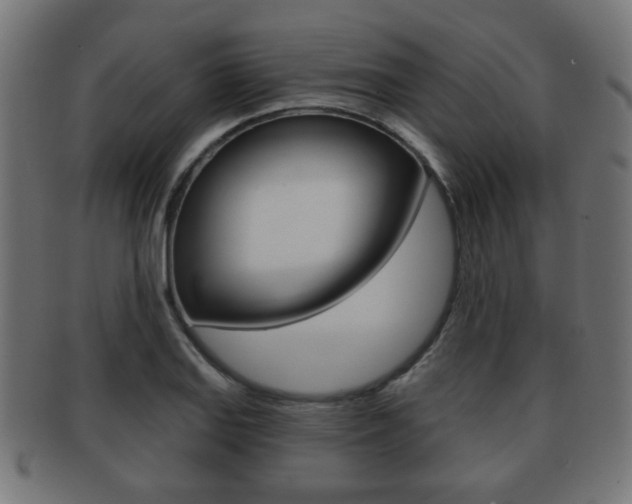 X0000091971127200709061126