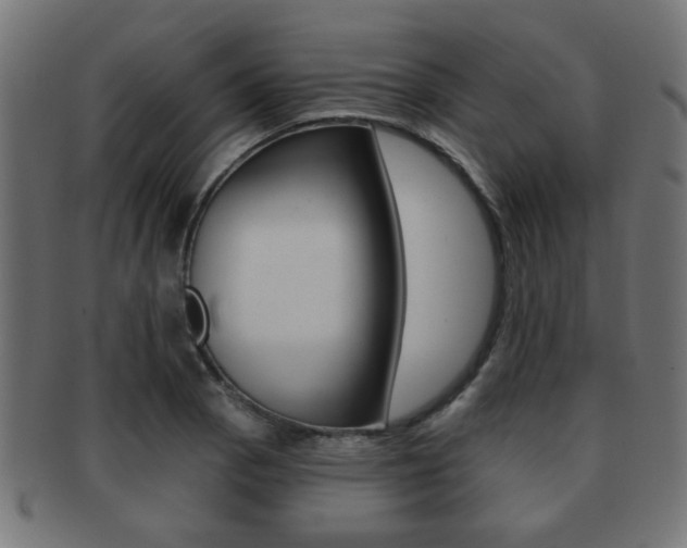 X0000091971129200709061126