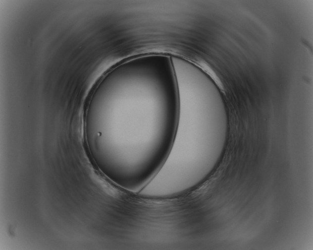 X0000091971132200709061126