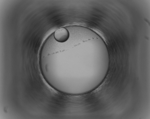 X0000091971135200709061126