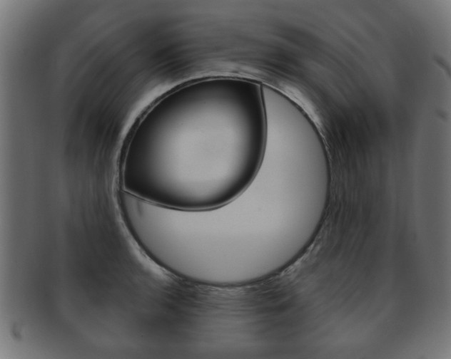 X0000091971136200709061126
