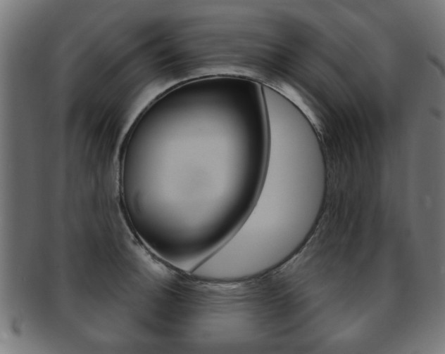 X0000091971140200709061126