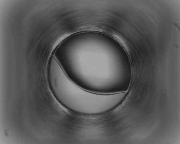 X0000091971141200709061126