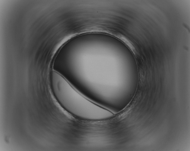 X0000091971142200709061126