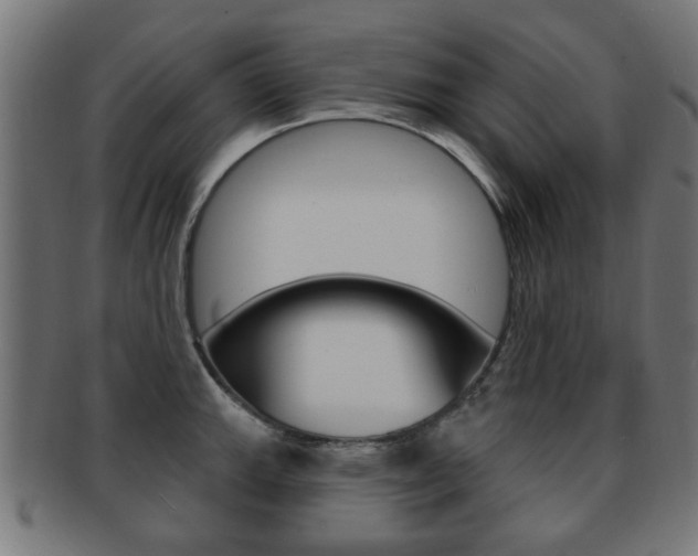 X0000091971143200709061126