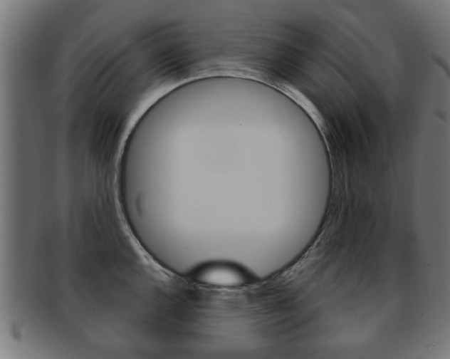 X0000091971144200709061126