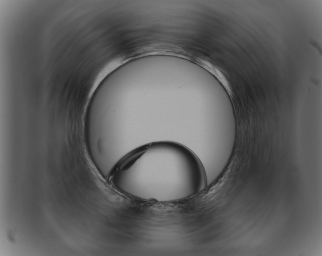 X0000091971146200709061126