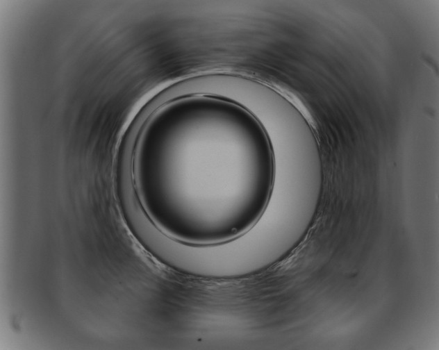 X0000091971148200709061127