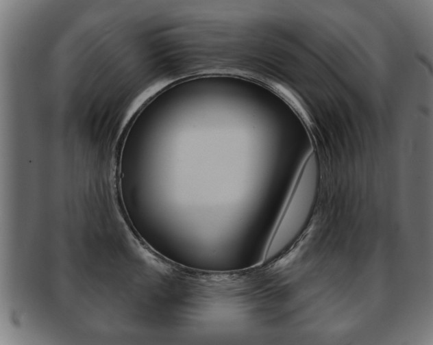X0000091971149200709061127