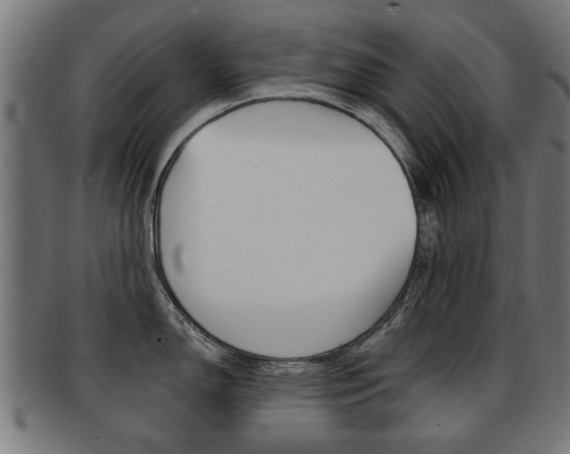 X0000091971150200709061127