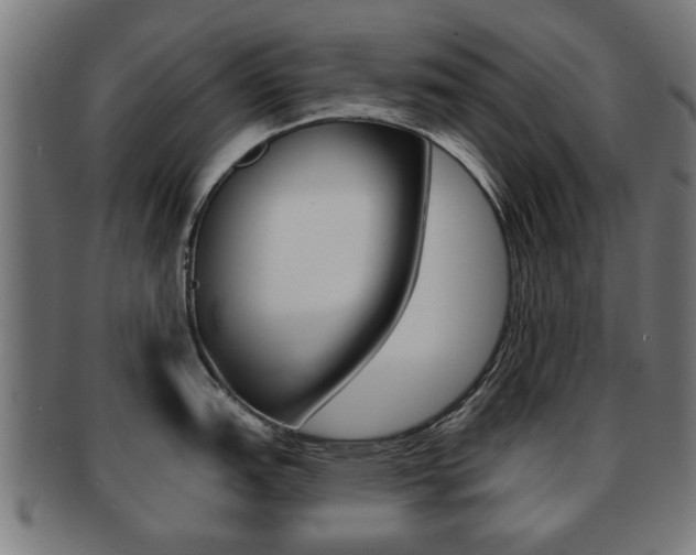 X0000091971151200709061127