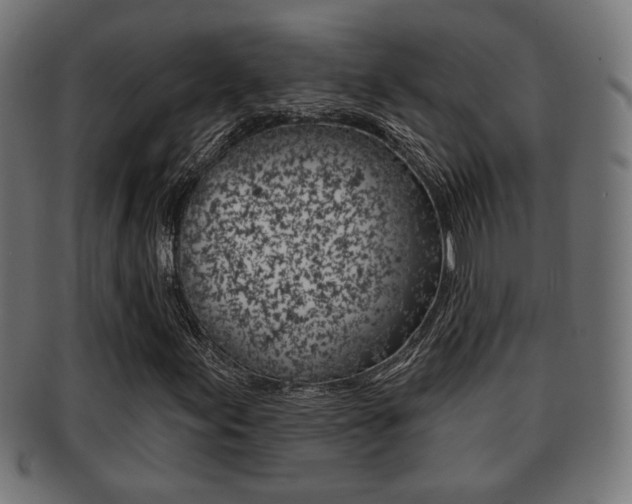 X0000091971155200709061126