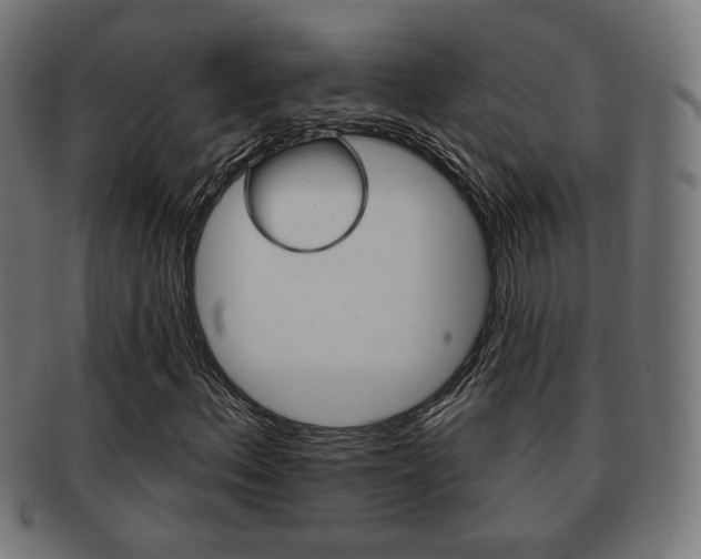 X0000091971156200709061126