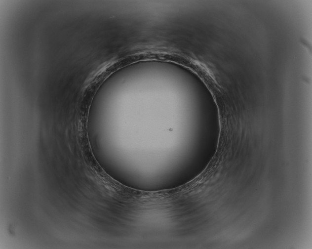 X0000091971159200709061126