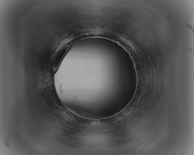 X0000091971160200709061126