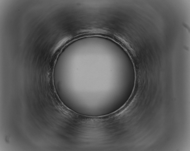 X0000091971163200709061126