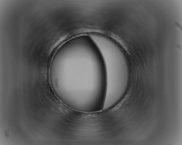 X0000091971165200709061126
