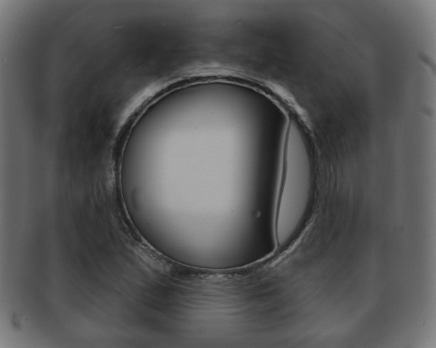 X0000091971167200709061126