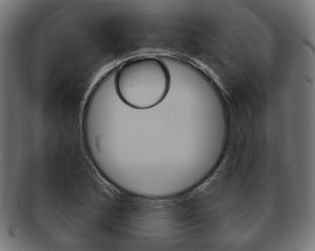 X0000091971168200709061126