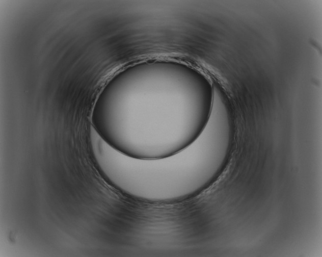 X0000091971169200709061126