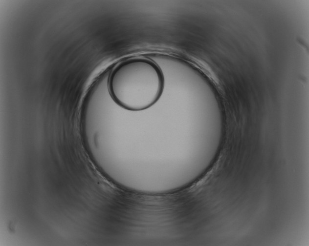 X0000091971172200709061126