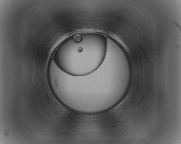 X0000091971173200709061126