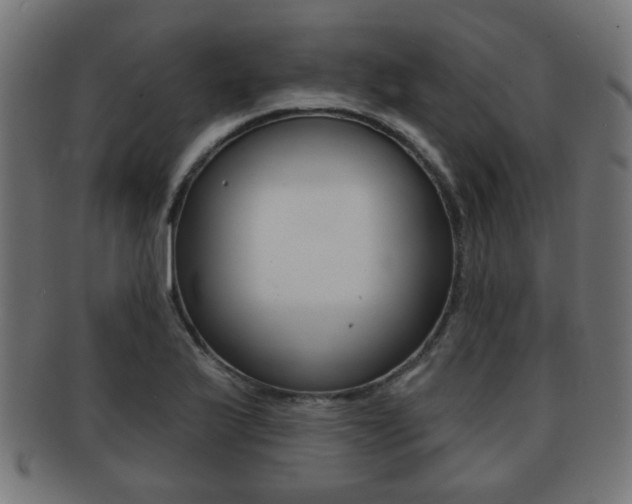 X0000091971175200709061126