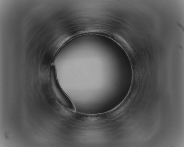 X0000091971177200709061126