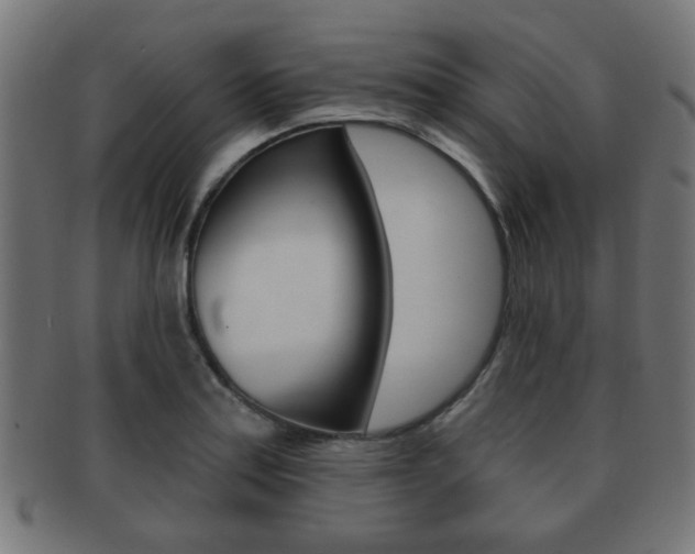 X0000091971179200709061126