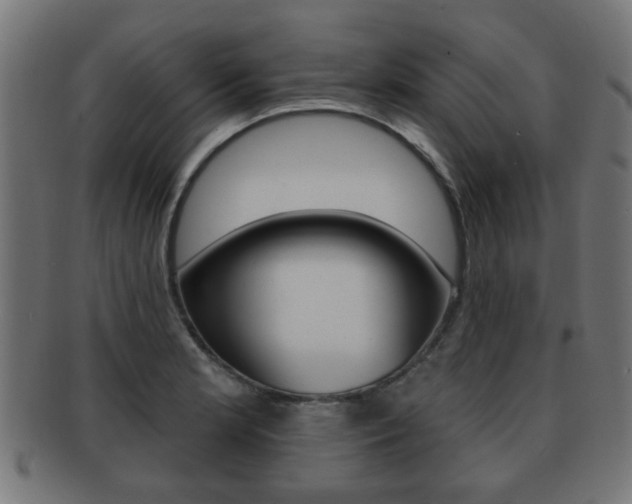 X0000091971181200709061125