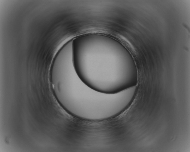 X0000091971182200709061125