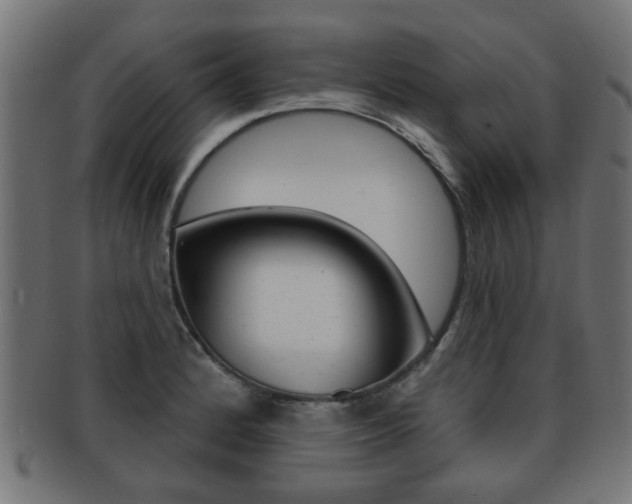 X0000091971184200709061125