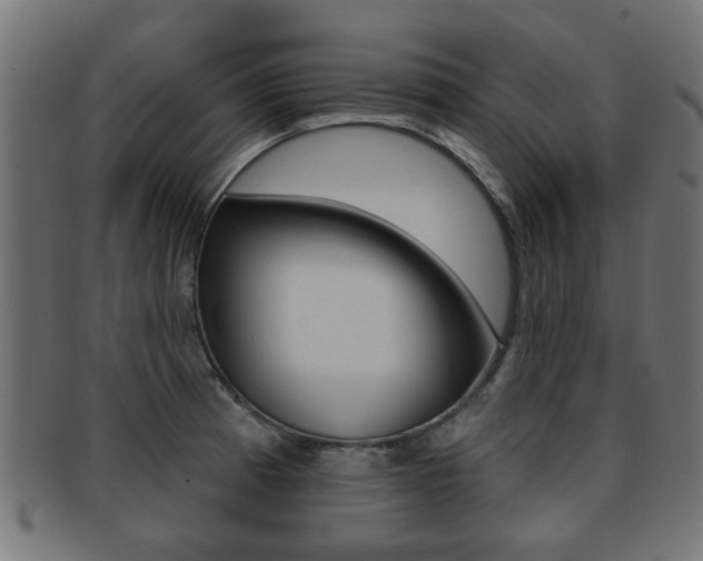 X0000091971185200709061125