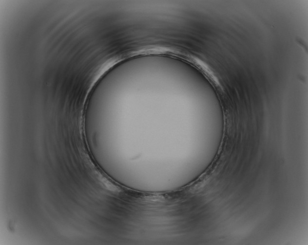 X0000091971186200709061125