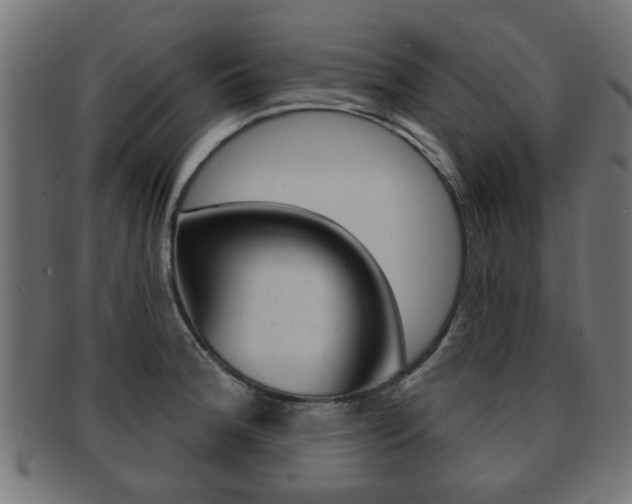 X0000091971188200709061125