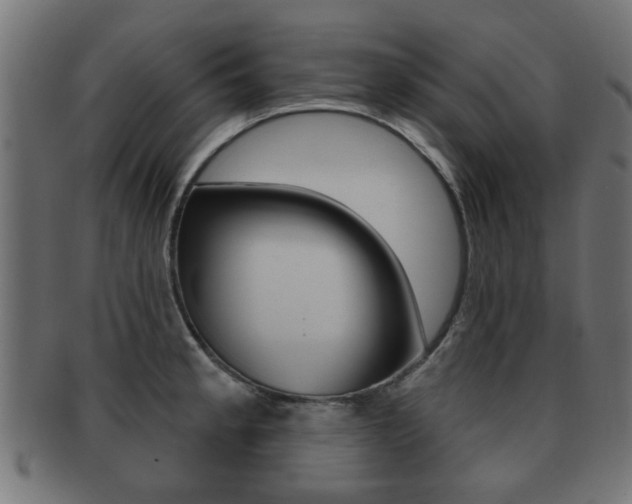 X0000091971189200709061125